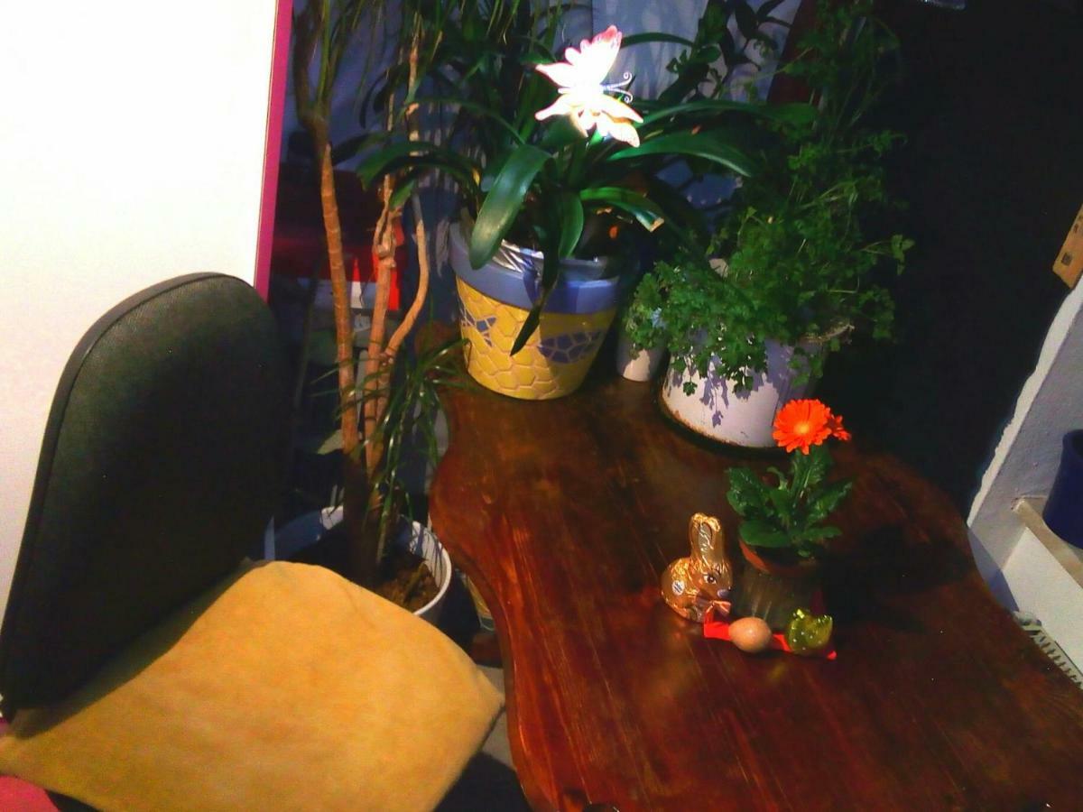 Citycentre Room For 1 Female Persons - Alternative Plus 1 Child Frankfurt am Main Exteriör bild